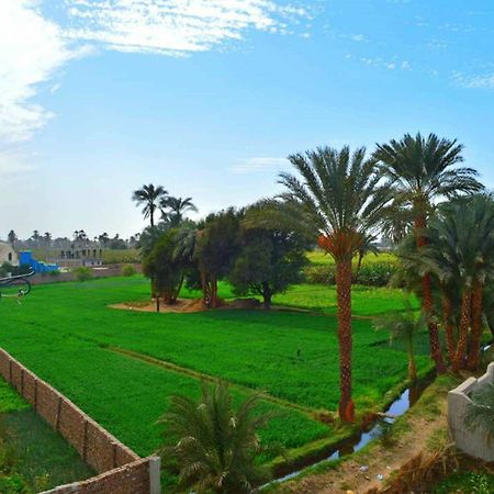 Farida Apartments Luxor Exterior photo
